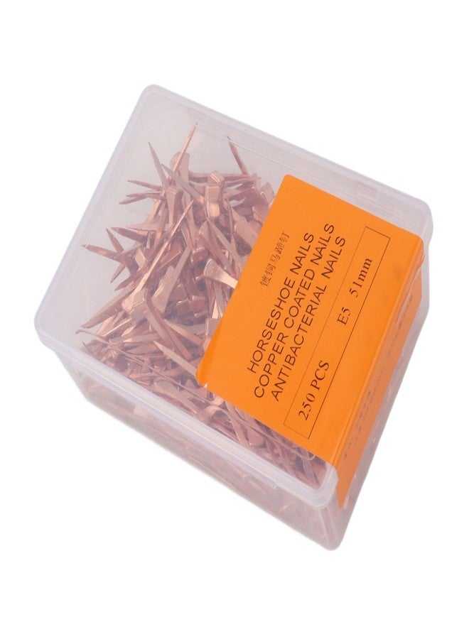 Jauarta 250Pcs Horseshoe Nails Copper Plated Rustproof Equestrian Riding Equipment Pet Supplies (51mm E5) - Image 3